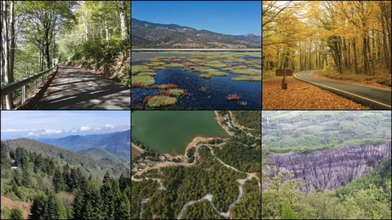 HAPİS VE AĞIR PARA CEZASI!