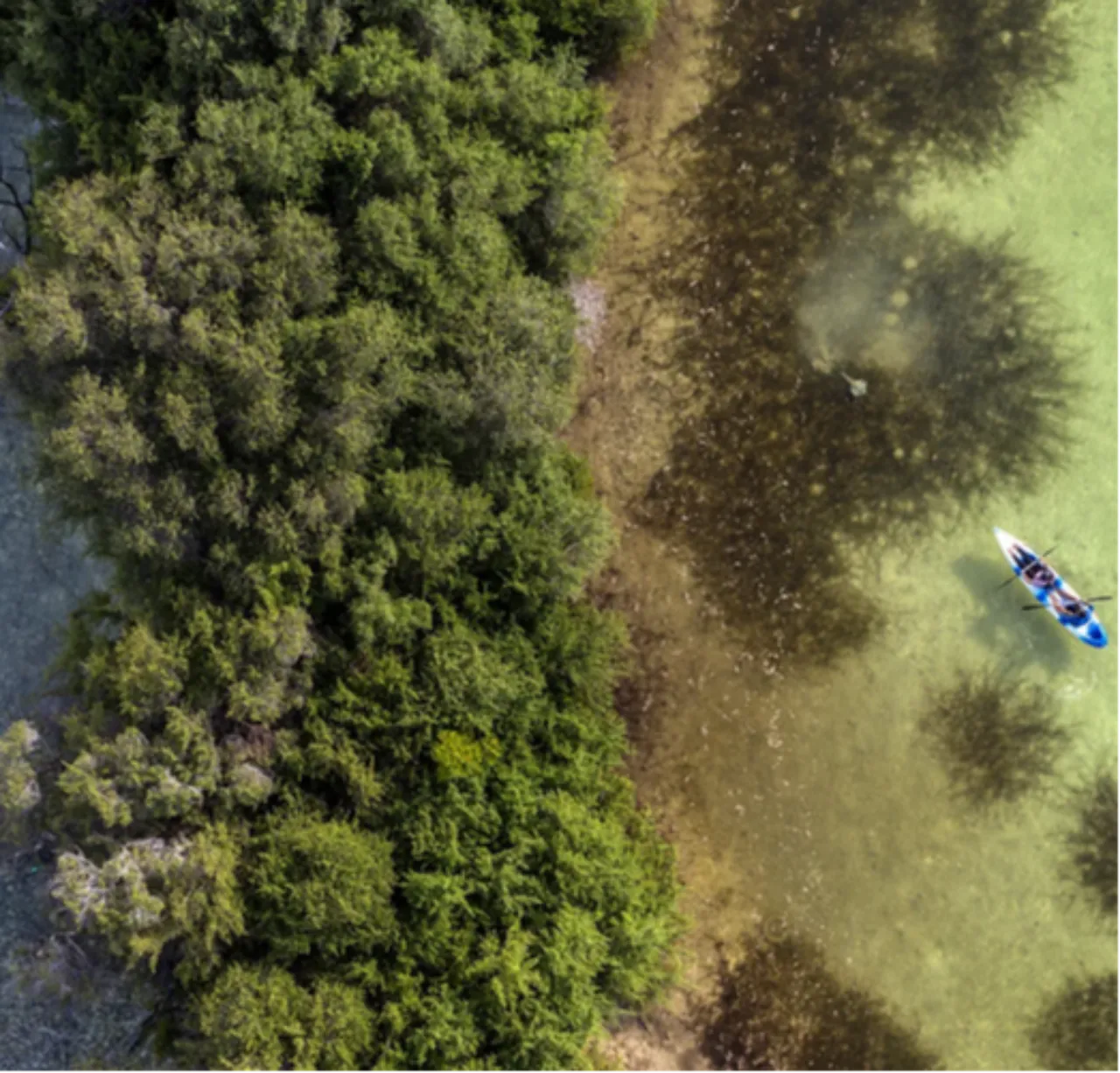 Bu ülkede Bakanlar Kurulu okyanusun dibinde toplandı! 