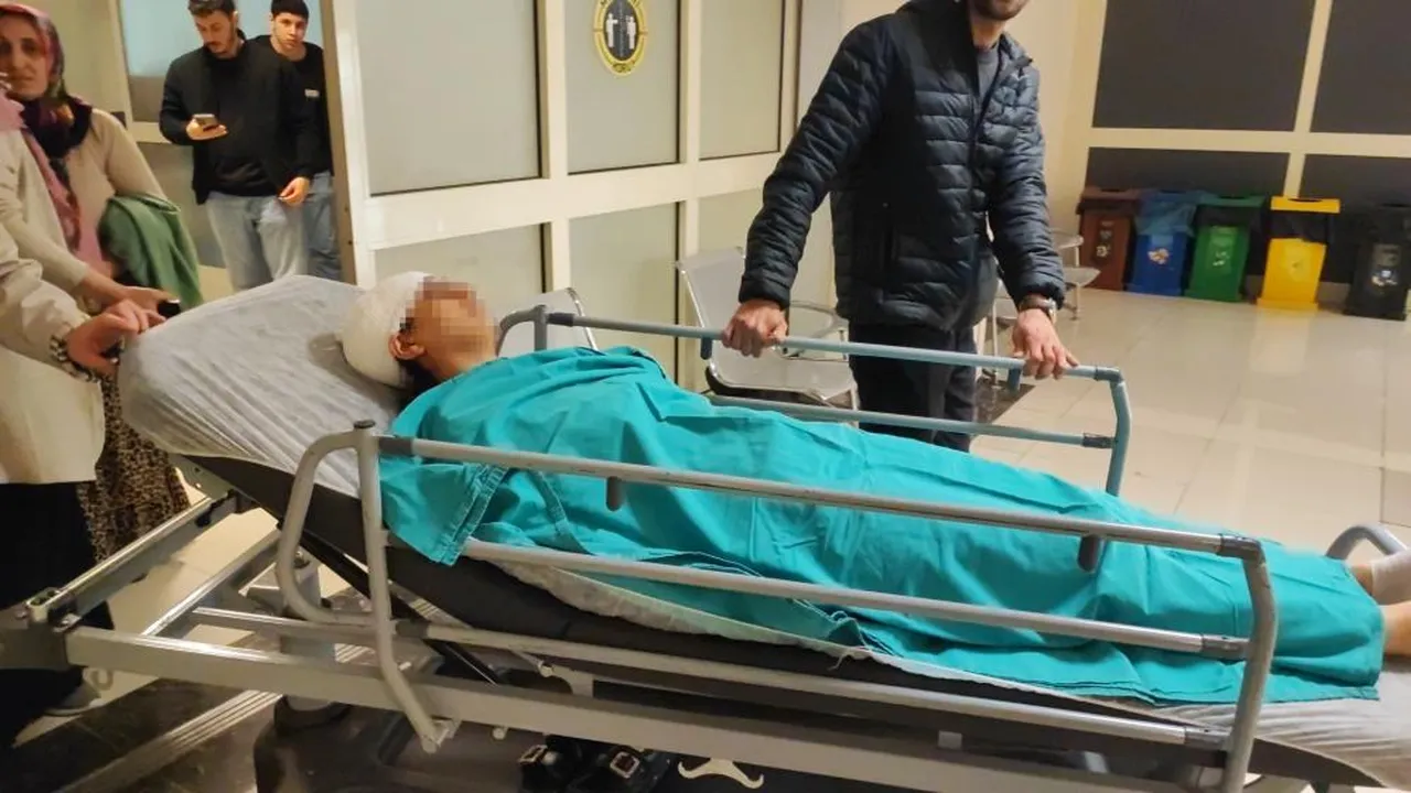 Ekmek almaya giderken dehşeti yaşadı! Sokak köpeği terörü sürüyor