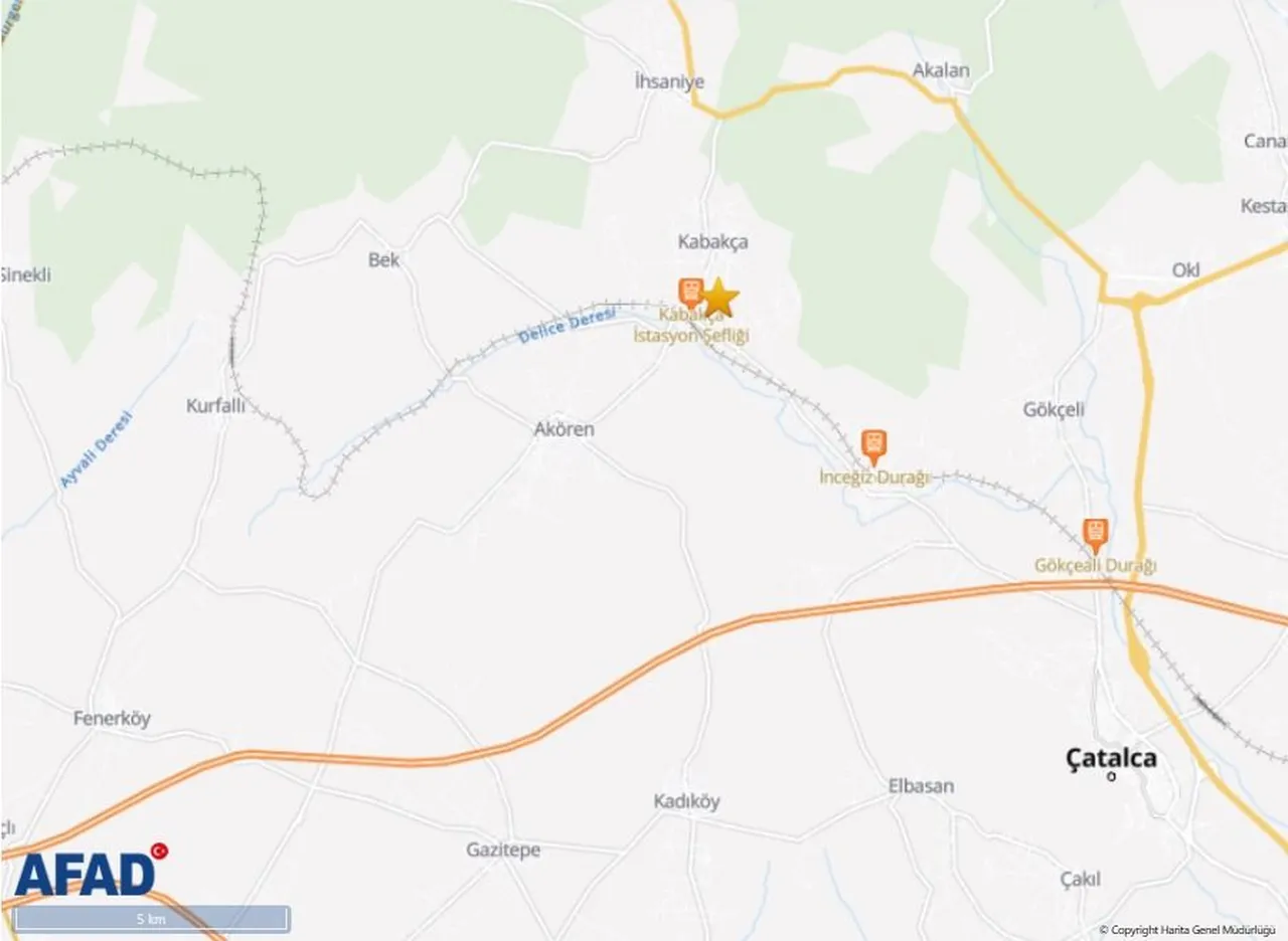 İstanbullular gece yarısı gelen deprem bildirimi ile panikledi! AFAD'dan açıklama geldi