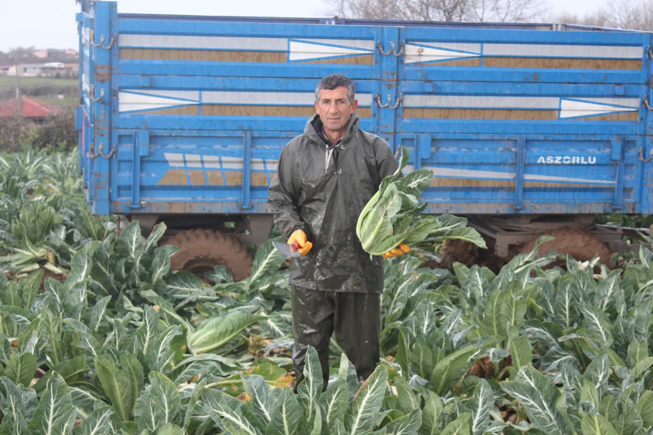 Tarlada 8, markette 50 lira! Kış mevsiminin vazgeçilmezi... Hasattan beklenti büyük