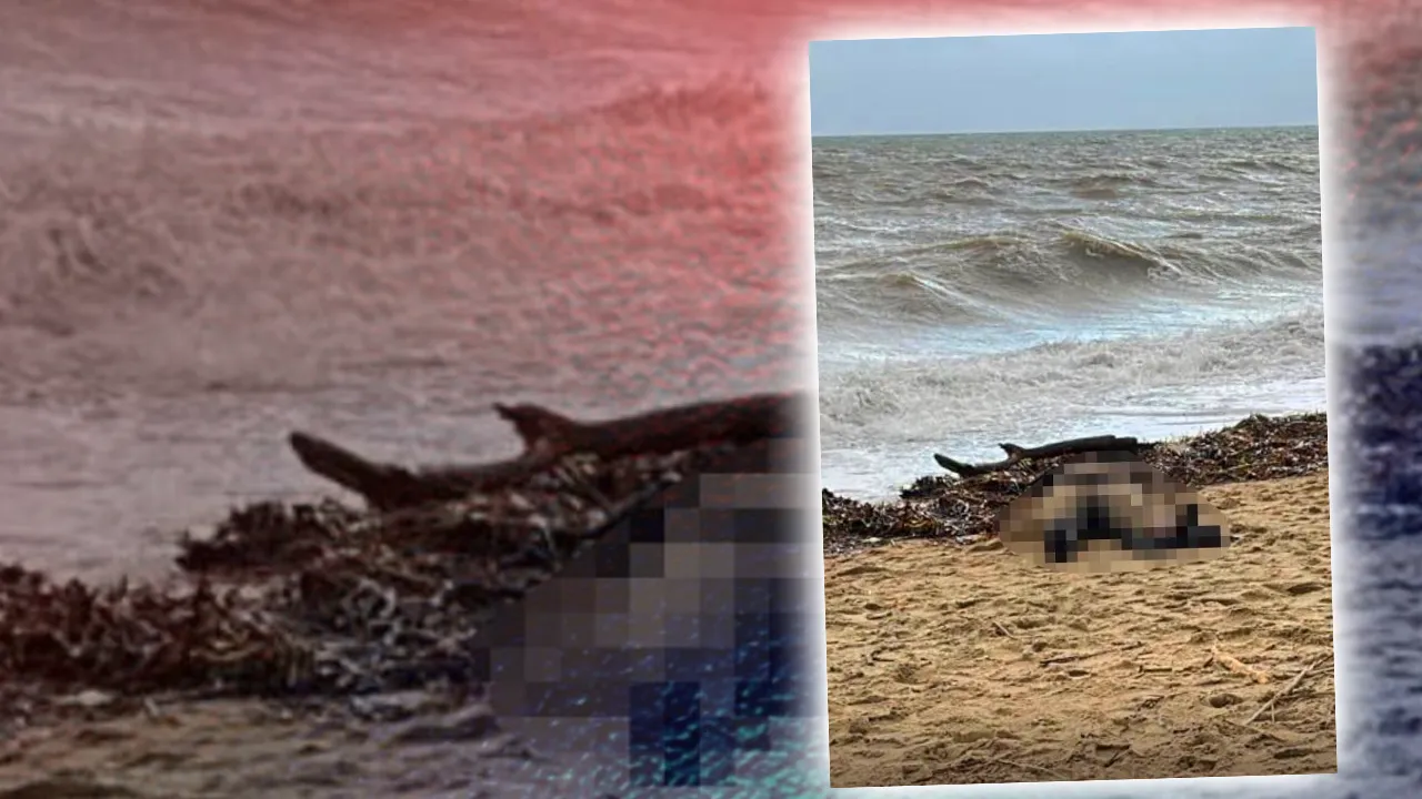 40 günden fazla suda kalan ceset kime ait? Sır olayda ilk tespit