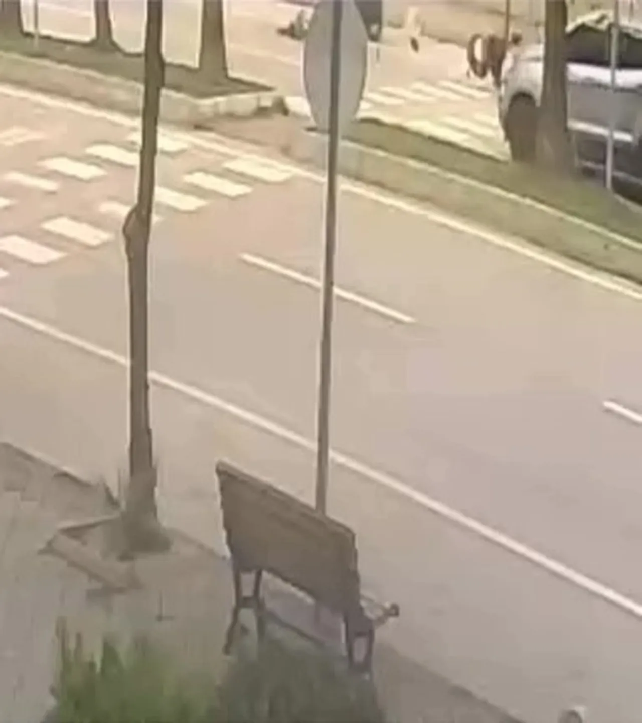 Adana'da 1,5 yaşındaki bebeğin öldüğü kazanın görüntüsü ortaya çıktı