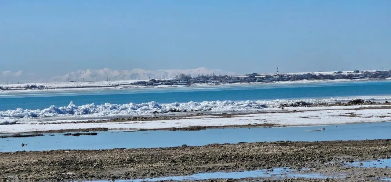Arin Gölü'nde etkileyici manzara! Boyları 1 metreyi aştı... Dikkat çeken doğa olayı