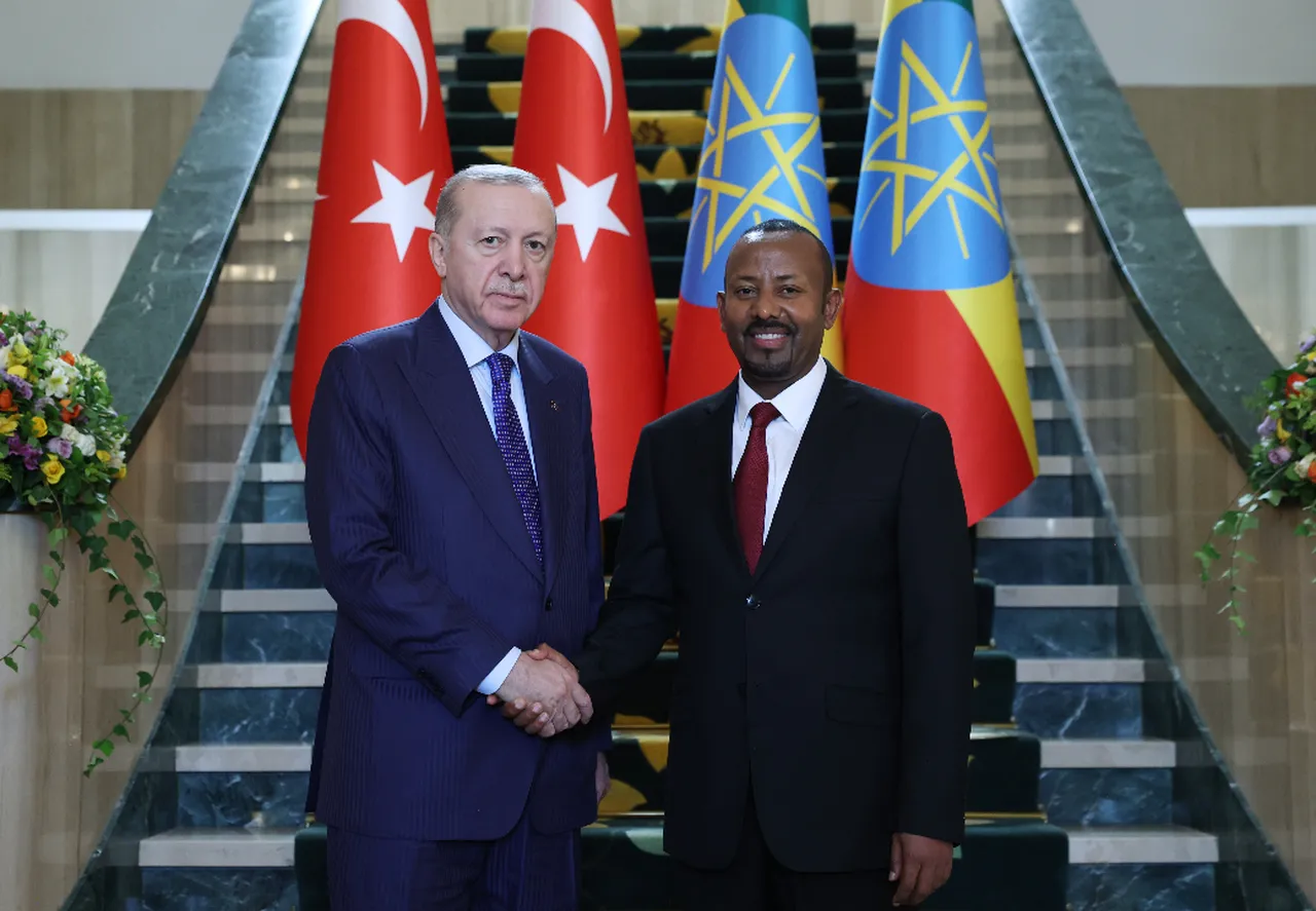 Cumhurbaşkanı Erdoğan, Etiyopya'da!