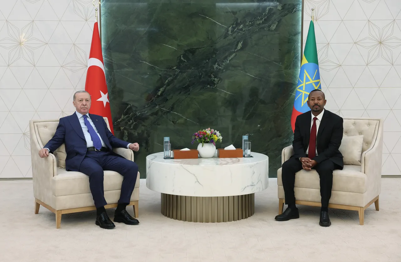 Cumhurbaşkanı Erdoğan, Etiyopya'nın başkenti Addis Ababa'da!