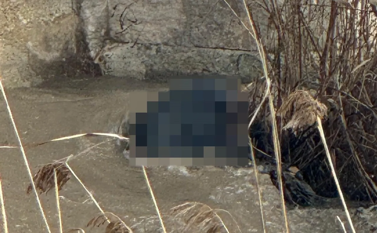 Dere yatağında kimliği belirsiz ceset bulundu