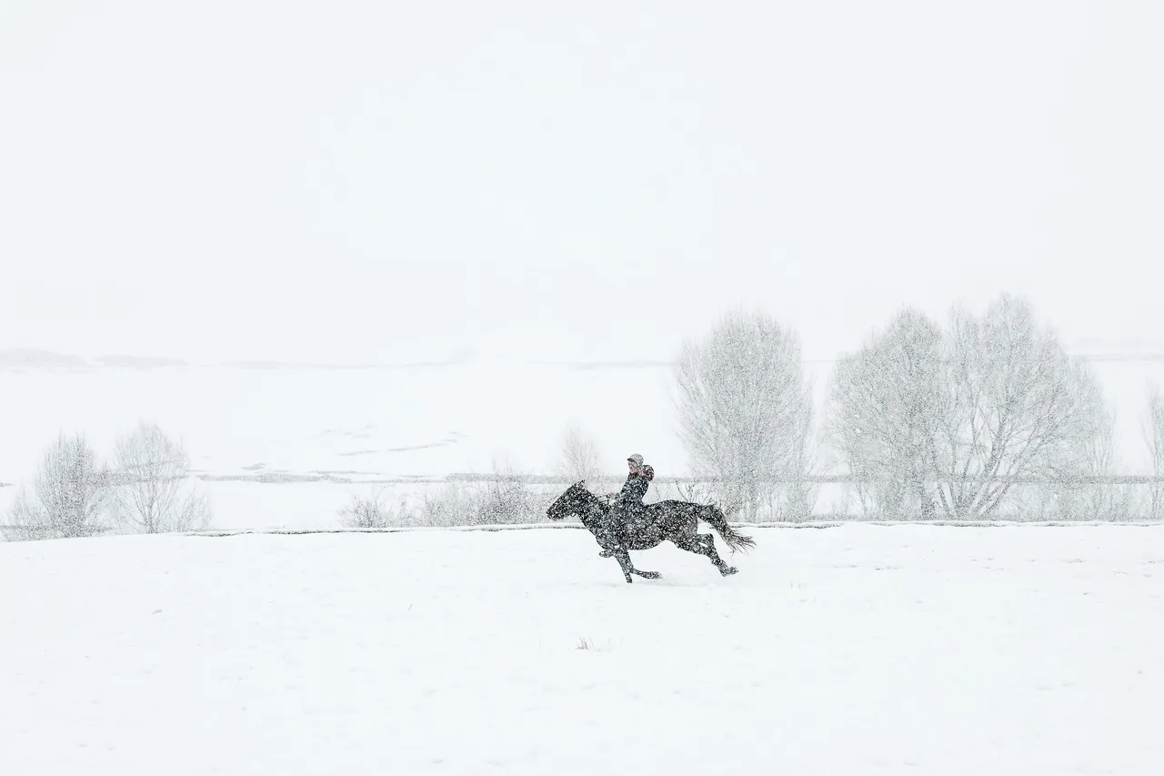 Küratörlüğünü Derya Yücel’in üstlendiği sergi, 26 Şubat’a kadar görülebilecek