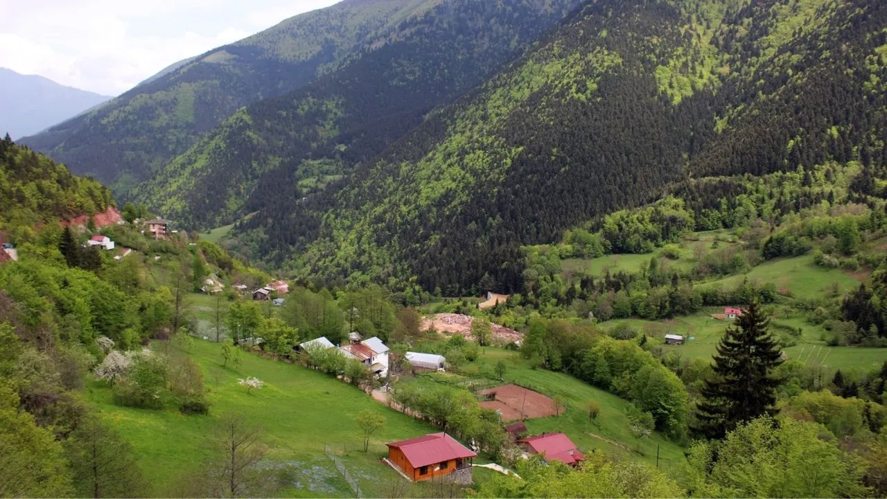 Artvin