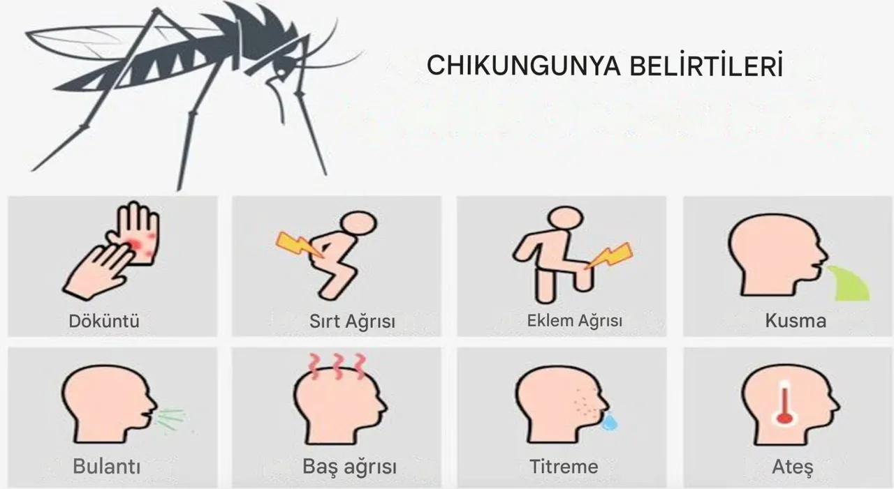 Avrupa’da tehlike büyüyor! Dayanılmaz ağrılı virüs yayılıyor