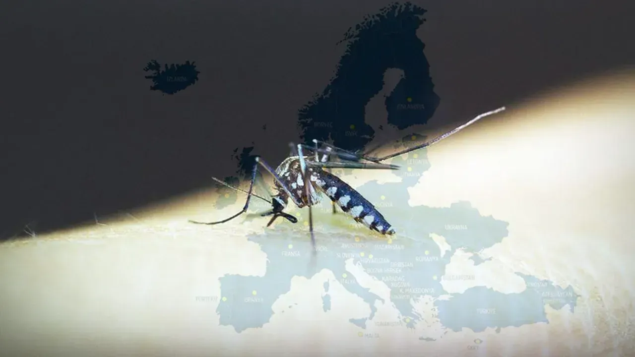 AVRUPA’DA TEHLİKE BÜYÜYOR!