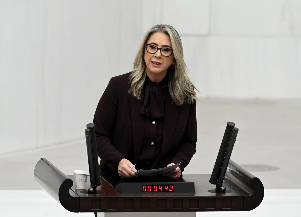 AK Parti İzmir Milletvekili Ceyda Bölünmez Çankırı