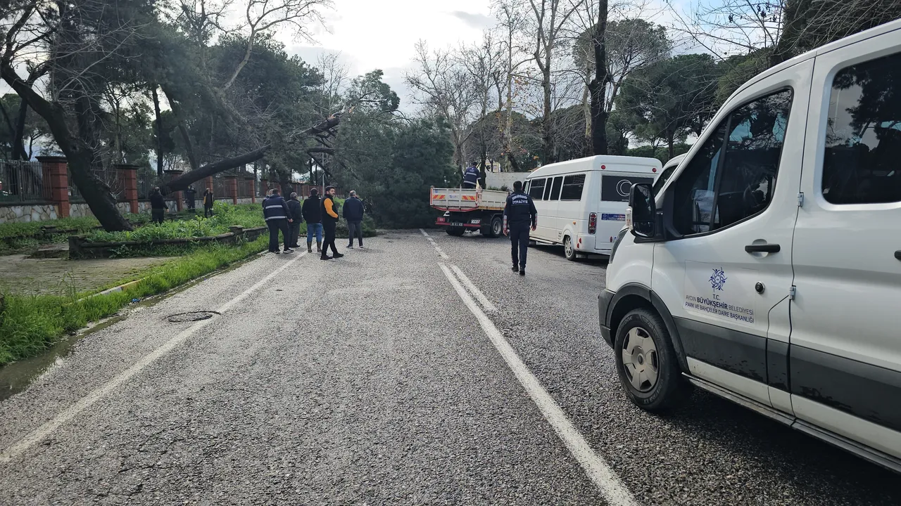 Fırtına ağacı devirdi! Yol trafiğe kapandı