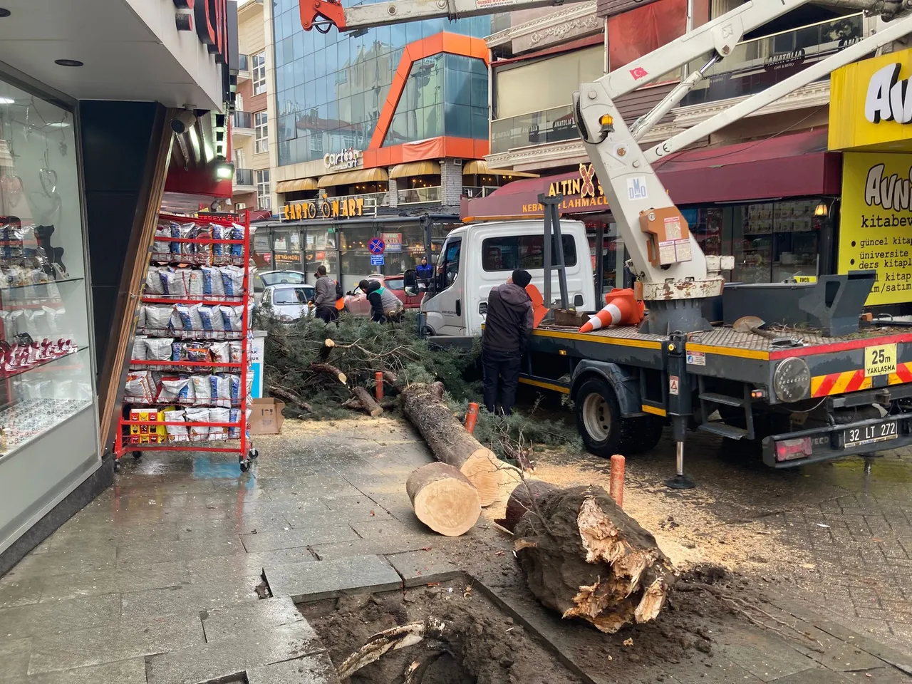 İki saniye ile ölümden döndü! Devrilen ağaç esnafı korkuttu