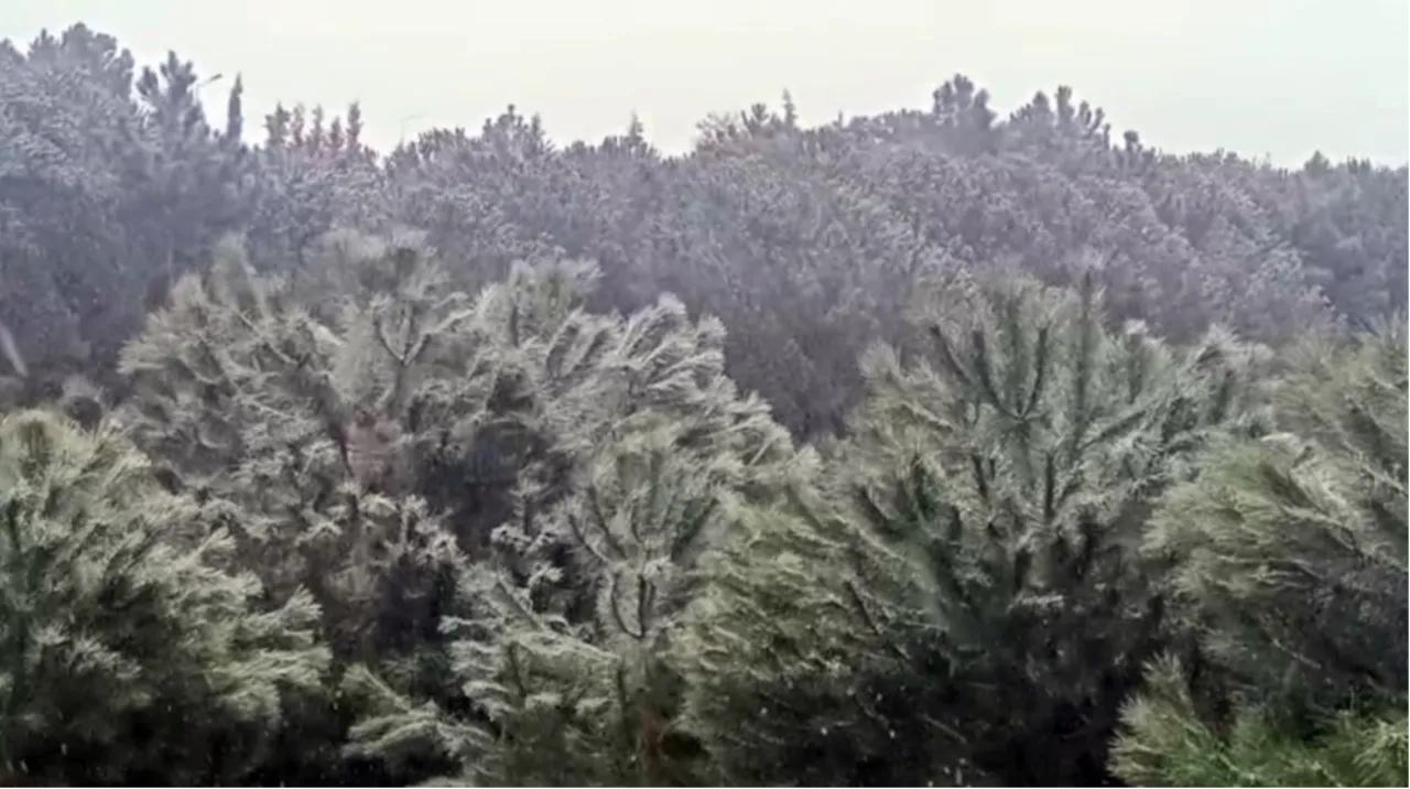 İstanbul’da kar yağışı başladı: Yüksek kesimlerde etkili oluyor