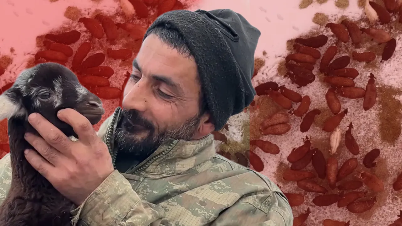 Köyüne döndü, devlet desteğiyle hayatı değişti! Hem işinin patronu oldu hem borçlarını kapattı