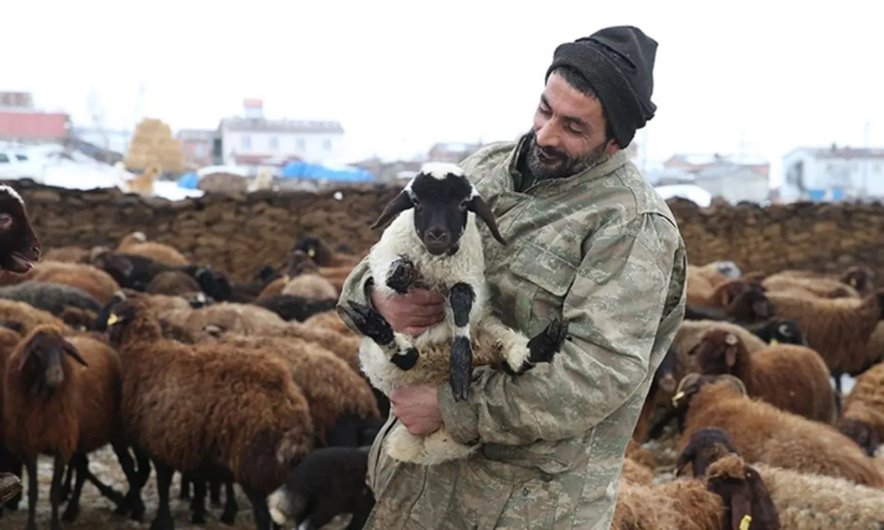 Köyüne döndü, devlet desteğiyle hayatı değişti! Hem işinin patronu oldu hem borçlarını kapattı