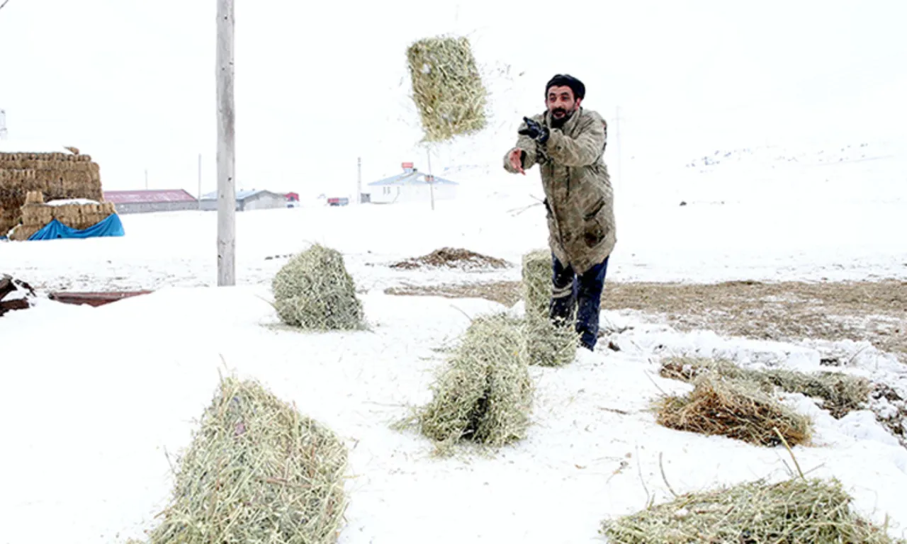 Köyüne döndü, devlet desteğiyle hayatı değişti! Hem işinin patronu oldu hem borçlarını kapattı