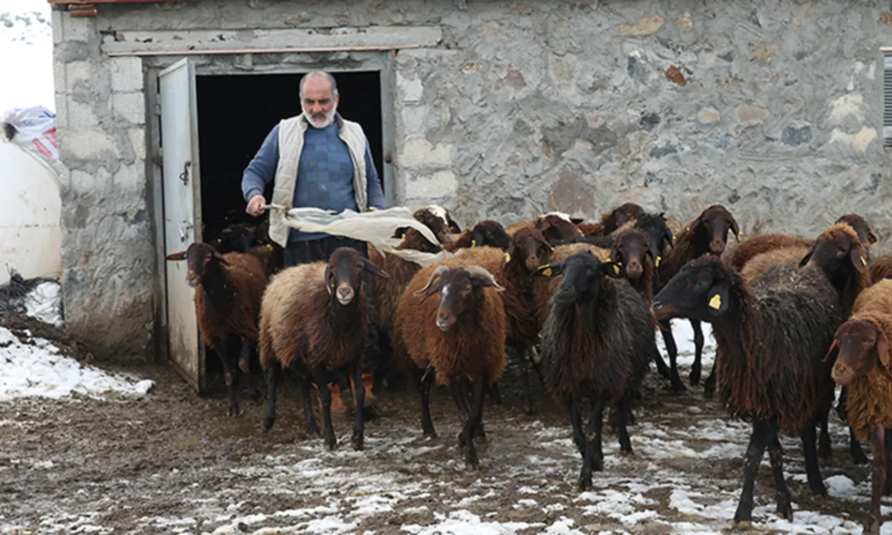 Köyüne döndü, devlet desteğiyle hayatı değişti! Hem işinin patronu oldu hem borçlarını kapattı