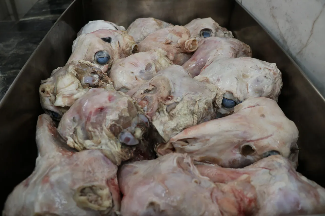 Sivas'ın vazgeçilmez lezzeti, 16 saatte yapılıyor! 'Gözünün yağını yiyeyim' deyimi buradan geliyor