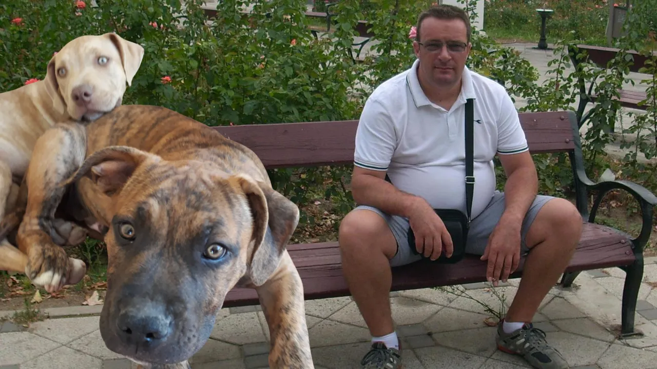 52 yaşındaki adamın feci sonu: Evde beslediği 3 köpek önce cesedini parçaladı, sonra yedi