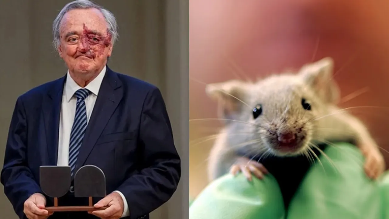 Bilim adamlarından çığır açan gelişme: Pankreas kanserinde büyük umut