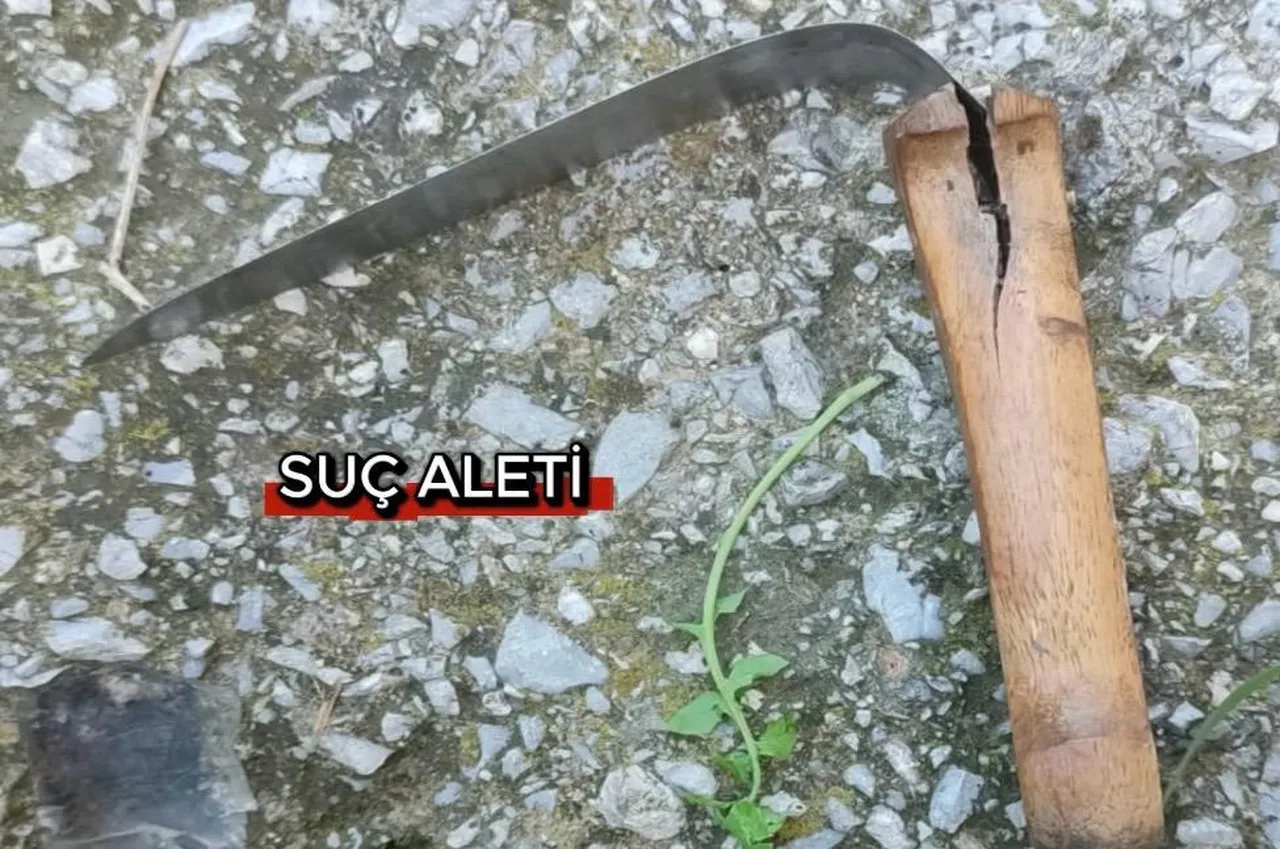 Çelik kasa cinayetinde kan donduran iddia! Planı oğlu mu yaptı?