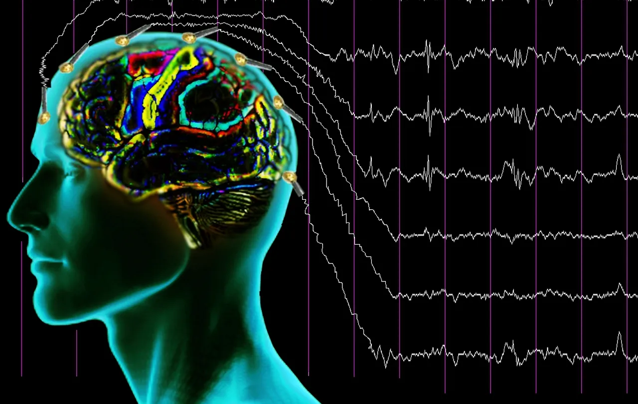 Dünya nüfusunun üçte biri taşıyor: Beyindeki parazit yeniden harekete geçip öldürebilir