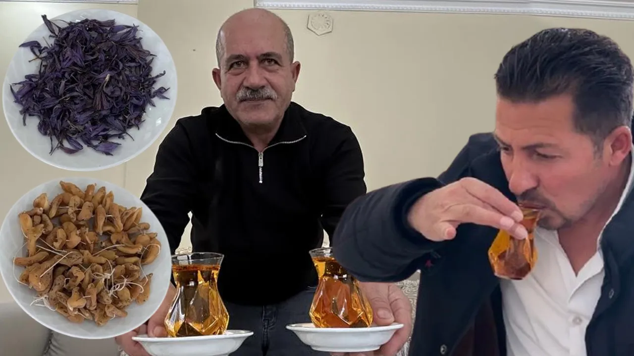 Hakkari halkına yeni gelir kapısı! Herkes 'başaramazsın' dedi, o yaptı