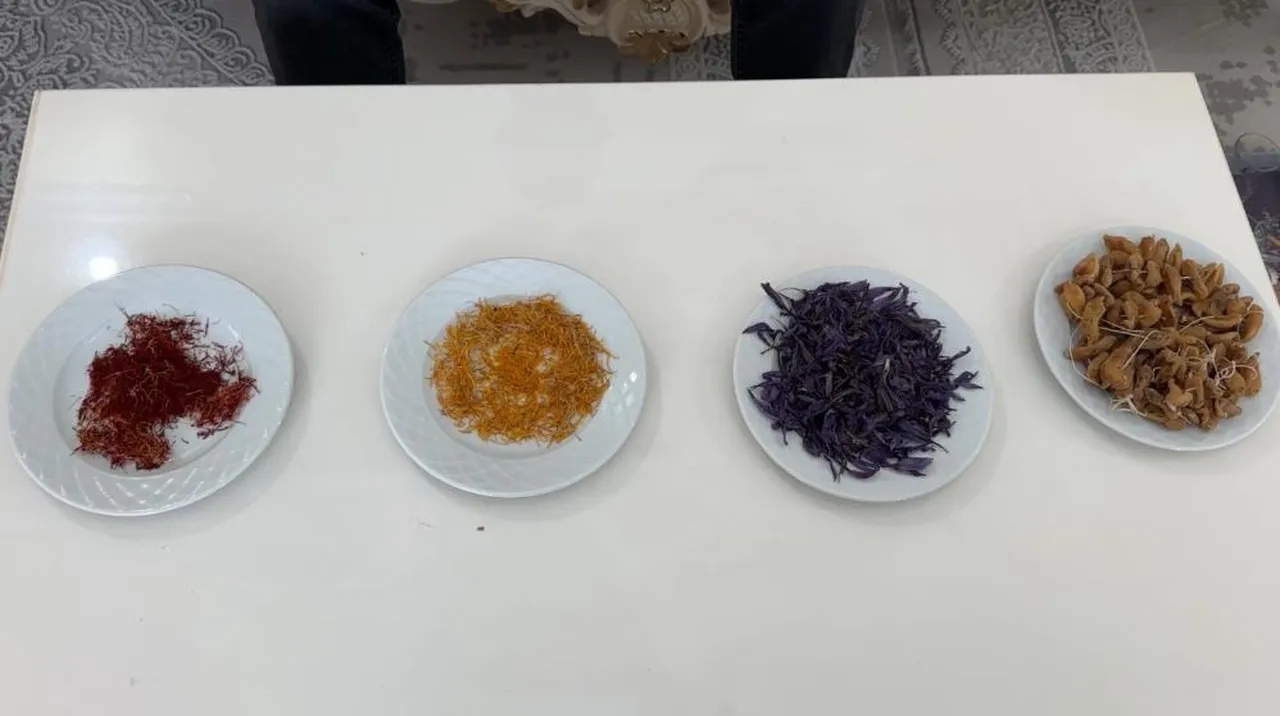 Hakkari halkına yeni gelir kapısı! Herkes 'başaramazsın' dedi, o yaptı