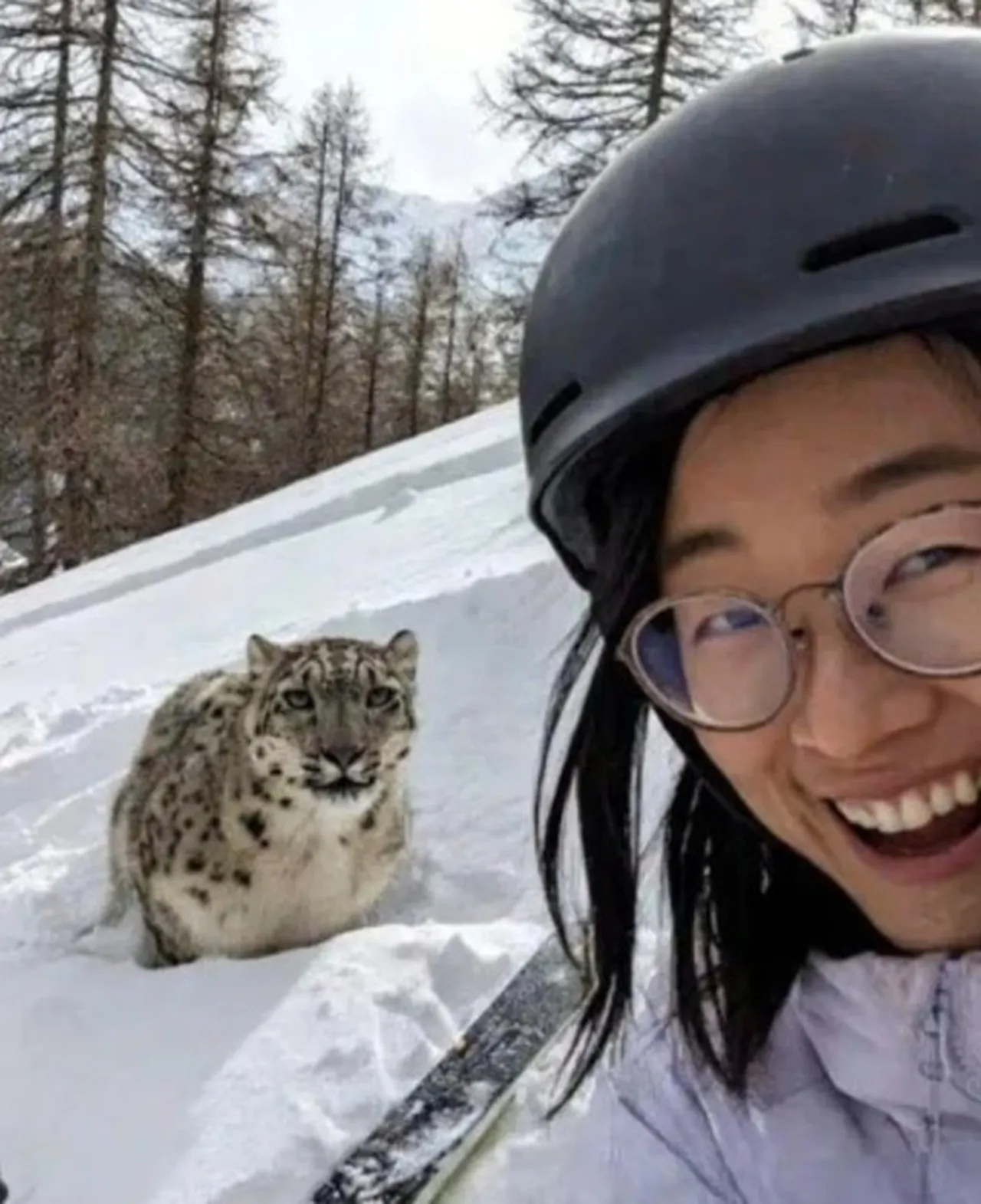 Leoparla selfie denemesi kanlı bitti! Kadın turist ölümden döndü