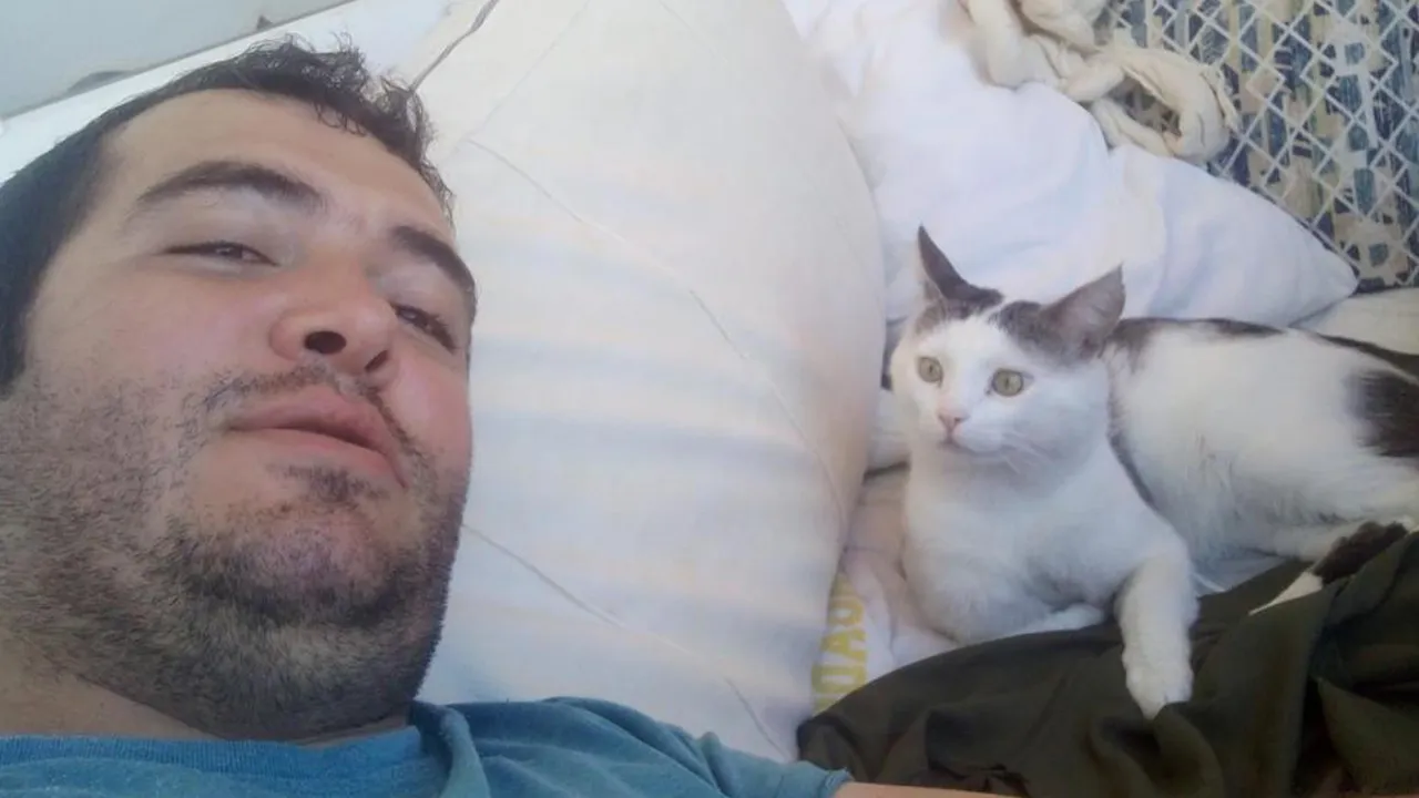  8 aydır bakmadığı yer kalmadı! Kaybolan kedisini bulana binlerce lira ödeyecek