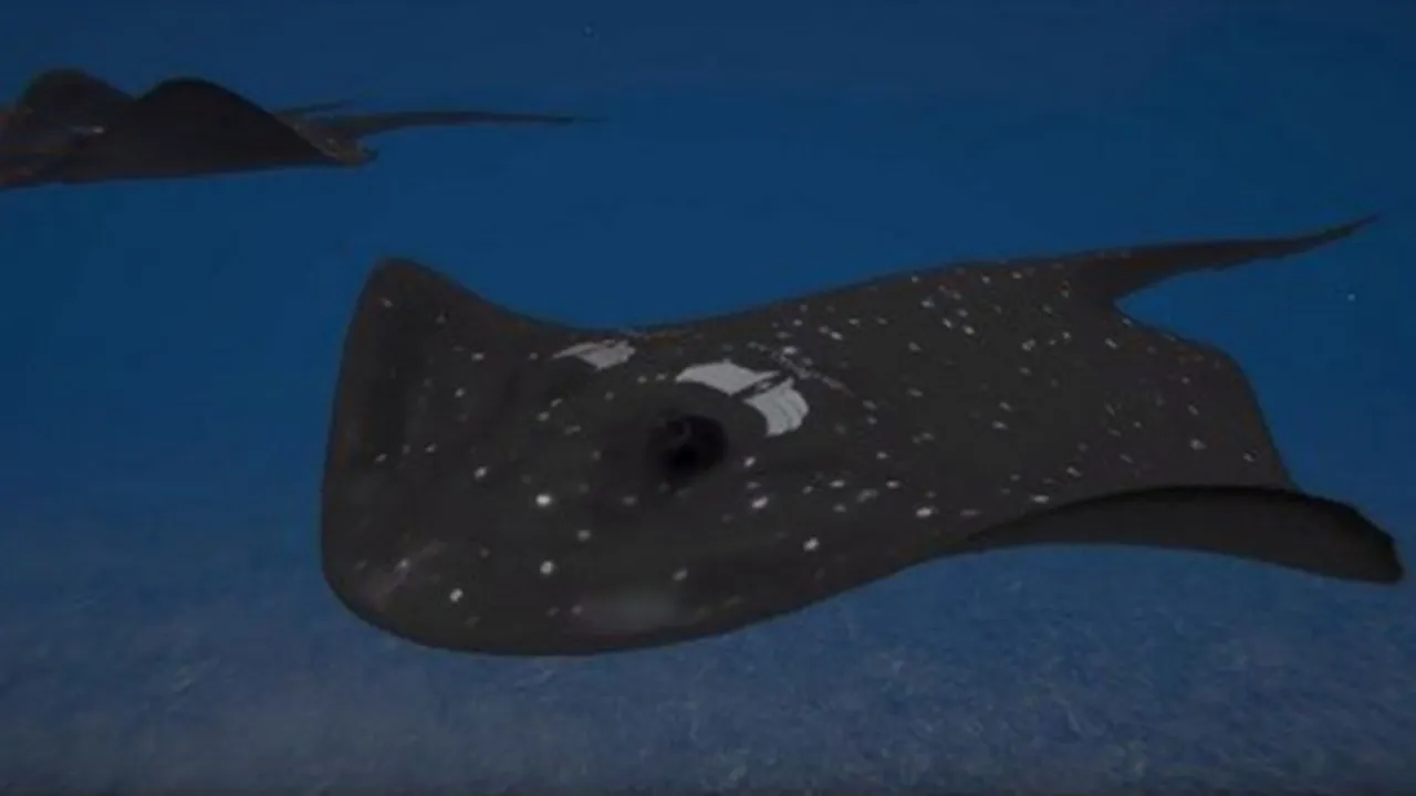 Çin, Türk silah teknolojisini mi kopyaladı? Vatoz tasarımı tartışmalara neden oldu