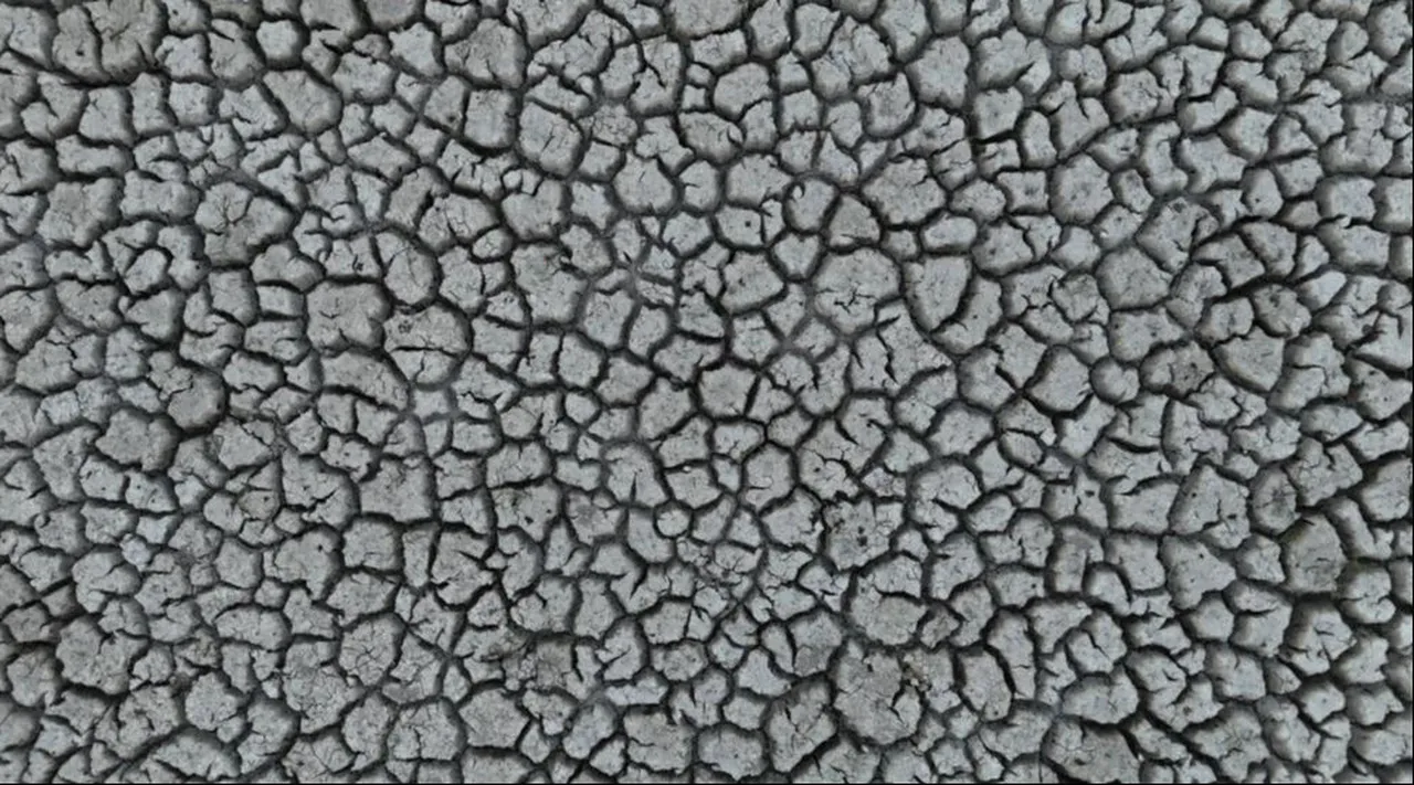 İkiye ayrılan Eğirdir Gölünde ezber bozan görüntü! Tam 1 yıl sonra birleşti