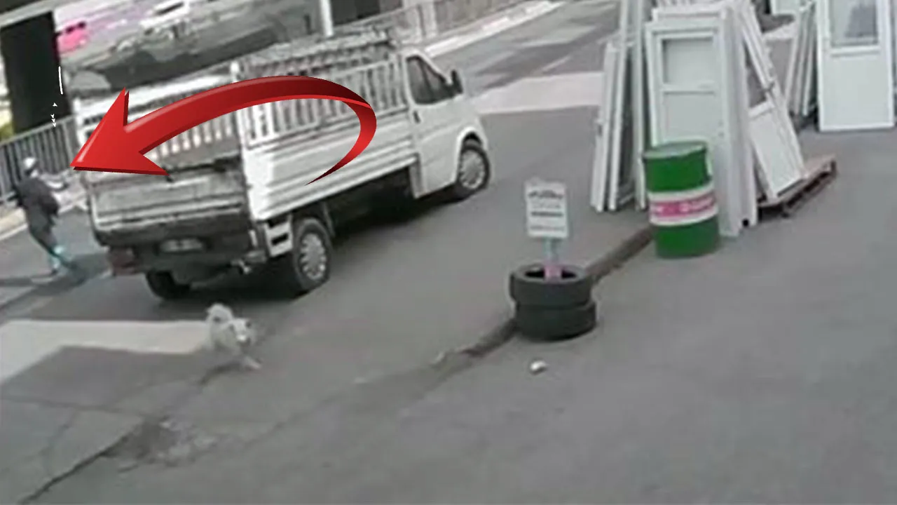 Köpeklerden kaçan genç kız otobüsün altında kaldı! Durumu kritik