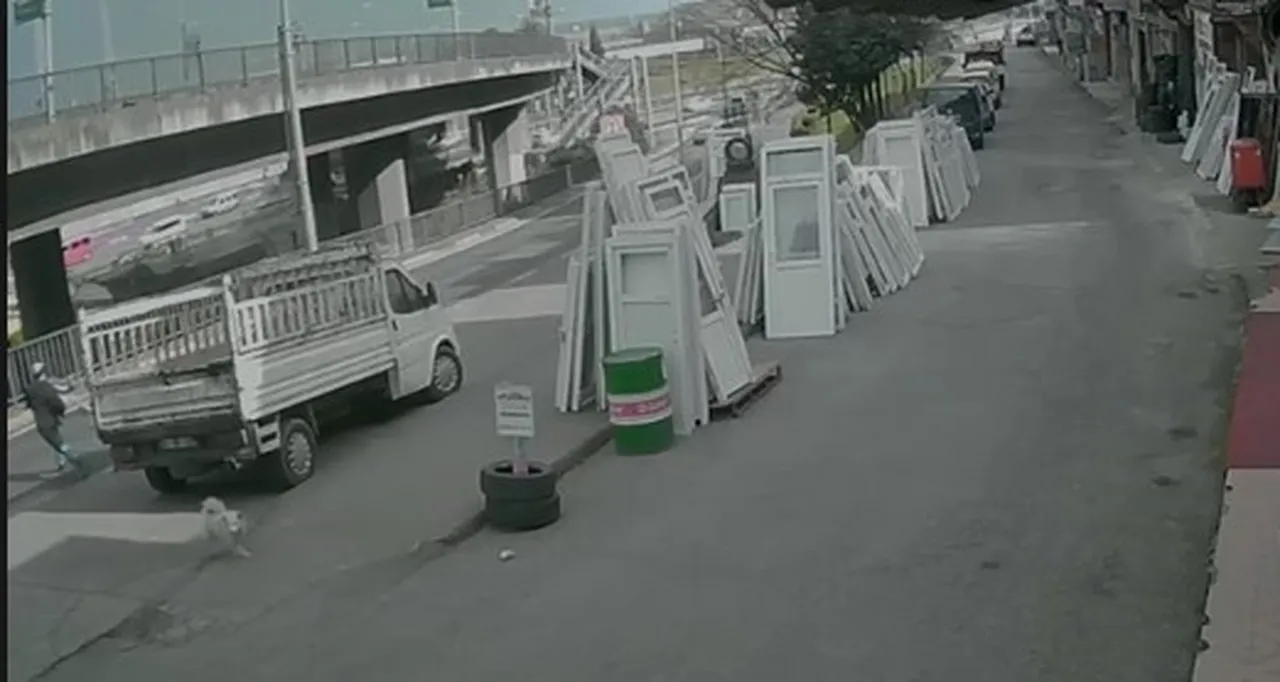 Köpeklerden kaçan genç kız otobüsün altında kaldı! Durumu kritik