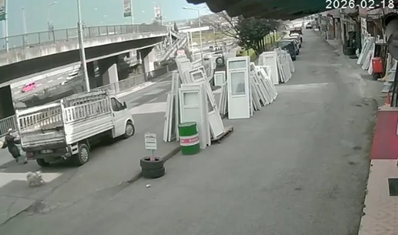 Köpeklerden kaçan genç kız otobüsün altında kaldı! Durumu kritik