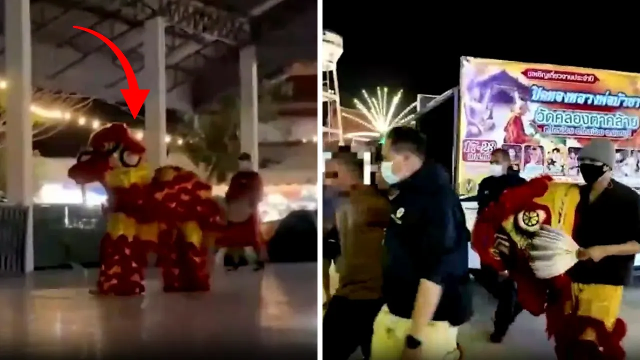 Tayland'da akıllara durgunluk veren operasyon! Defalarca kaçan hırsızı aslan kostümü giyerek yakaladılar