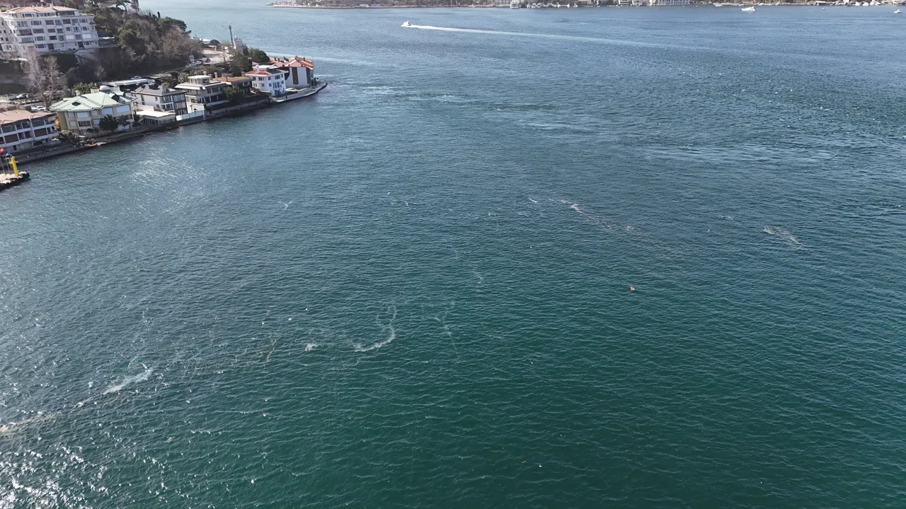 Boğaz’da beyaz istila! Görüntü korkuttu, 3 sebebi olabilir