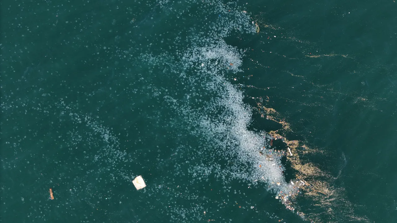 Boğaz’da beyaz istila! Görüntü korkuttu, 3 sebebi olabilir