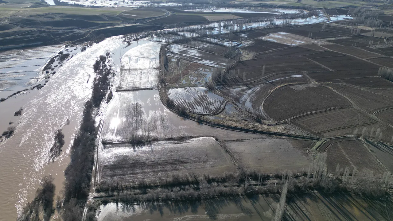 Gemerekli çiftçinin emeği sular altında... Kızılırmak son zamanların en büyük afetini yaşattı