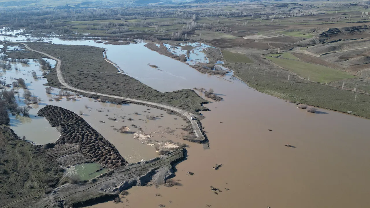 Gemerekli çiftçinin emeği sular altında... Kızılırmak son zamanların en büyük afetini yaşattı
