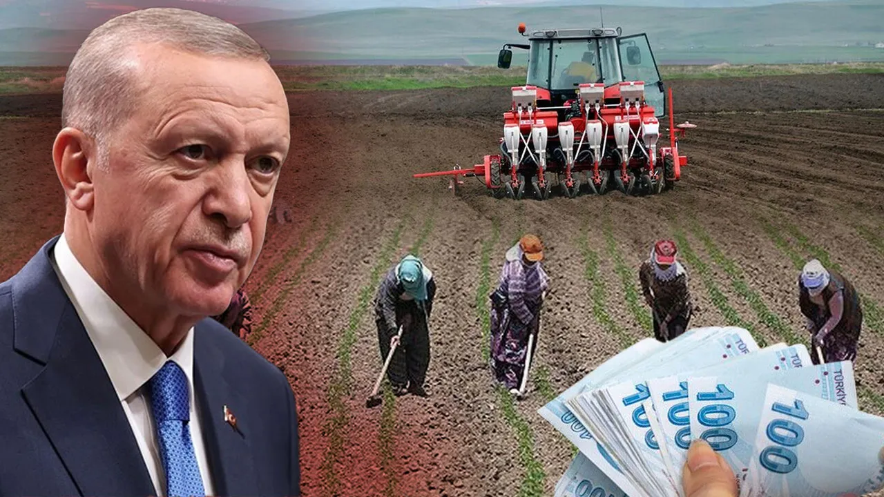 Hayvan desteği, faizsiz kredi, 81 milyar lira ödeme! Cumhurbaşkanı Erdoğan'dan üretici ve çiftçilere müjdeler