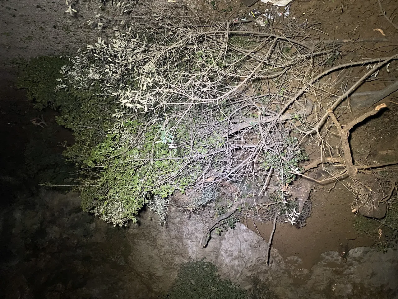 Mudanya'da heyelan... Ekipler teyakkuzda, sabah saatlerine kadar geçiş yok!