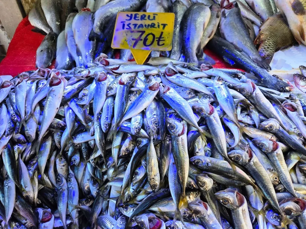 Ramazanda ilgi artıyor! İşte tezgahların en ucuz balığı: Kilosu 70 lira