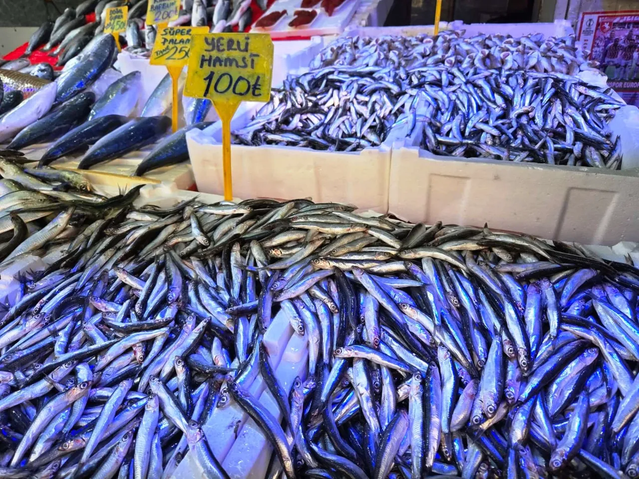 Ramazanda ilgi artıyor! İşte tezgahların en ucuz balığı: Kilosu 70 lira