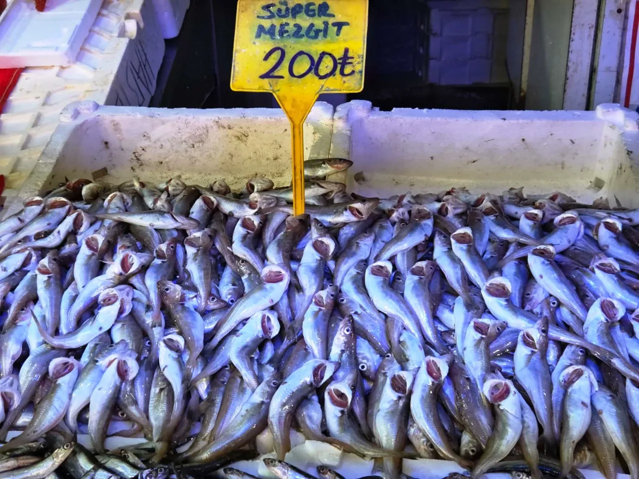 Ramazanda ilgi artıyor! İşte tezgahların en ucuz balığı: Kilosu 70 lira