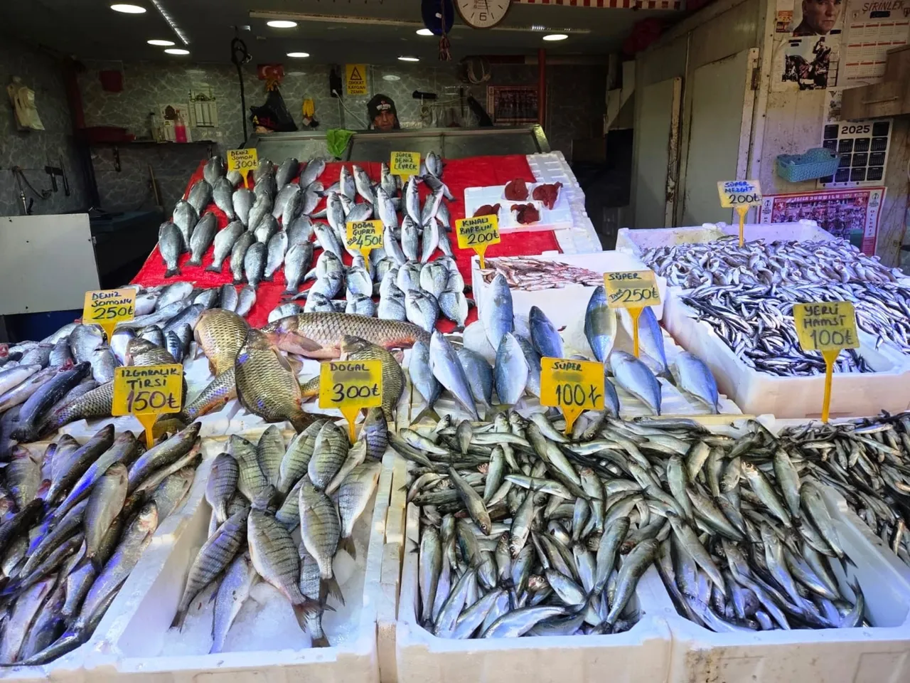 Ramazanda ilgi artıyor! İşte tezgahların en ucuz balığı: Kilosu 70 lira
