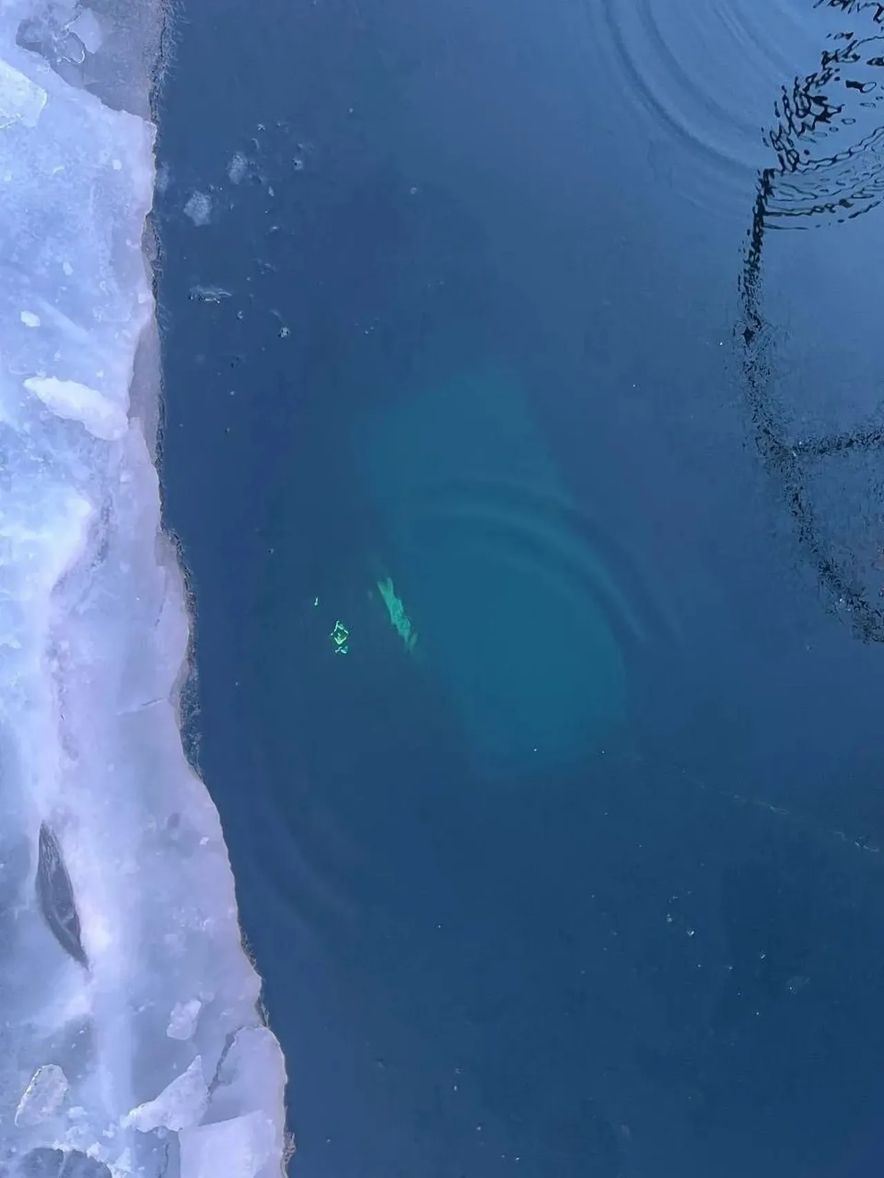 Rusyada buz kırıldı, tur aracı göle düştü! Çok sayıda ölü var