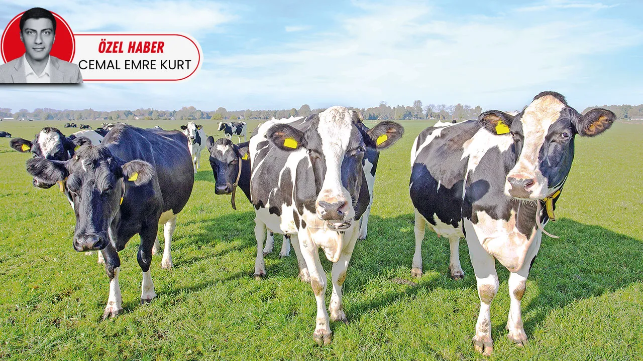 Yerli tohum, ilaç ve hayvan için millî atak! TAGEM tarımda ithalatı azaltan adımları devreye aldı